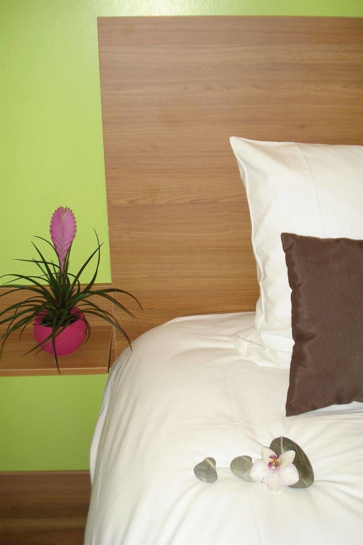 Hotel La Palmeraie Cornebarrieu Esterno foto